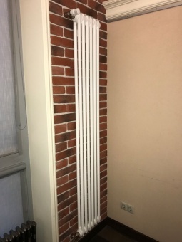 Стальной трубчатый радиатор 2-колончатый Arbonia 2180/06 N12 3/4 RAL 9016