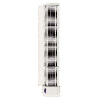 Электрическая тепловая завеса General Climate RM310E09 VERT