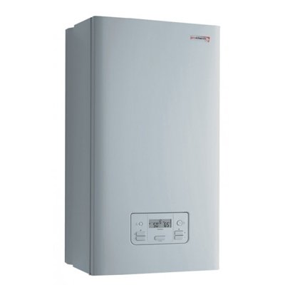 Настенный газовый котел Protherm Gepard 23 MOV