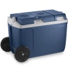 Термоэлектрический автохолодильник Mobicool W38 AC/DC