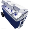 Термоэлектрический автохолодильник Mobicool W38 AC/DC