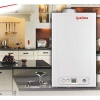 Настенный газовый котел Roda Vortech Duo CS16