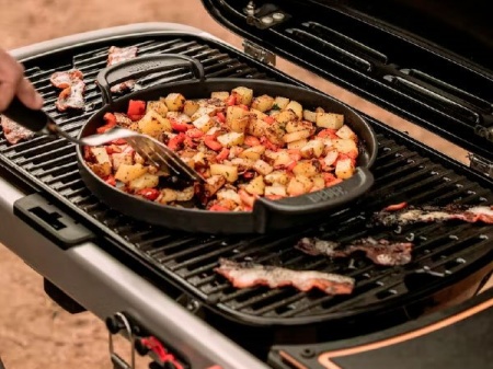 Газовый гриль WEBER Traveler