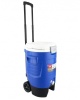 Термоэлектрический автохолодильник Igloo 5 Gal Roller blue