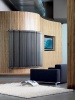 Стальной трубчатый радиатор 2-колончатый Zehnder 2180/8 TL