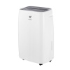 Бытовой осушитель воздуха Royal Clima RD-S40-E