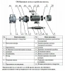 Насос поверхностный центробежный LEO XZS 65-50-125/22
