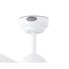 Вентилятор без подсветки Faro IBIZA BLANCO