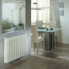 Стальной трубчатый радиатор 2-колончатый Zehnder 2180/8 TL