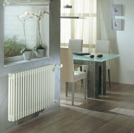 Стальной трубчатый радиатор 2-колончатый Zehnder 2180/8 TL