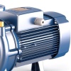 Поверхностный насос Pedrollo F4 50/250AR