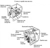 Мотопомпа бензиновая Vodotok БН-20-30м/ч