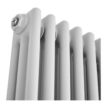 Стальной трубчатый радиатор 3-колончатый IRSAP TESI 30365/24 №25