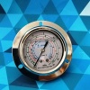 Манометр глицериновый CH-134H (высокого давления)  (R404, R22, R407, R134; крепление на панель; 1/4"