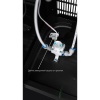 Пурифайер для воды Ecotronic M11-L POU black