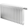 Стальной трубчатый радиатор 3-колончатый IRSAP TESI 30565/16 №25